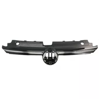 Grille de radiateur BLIC 6502-07-9572992P