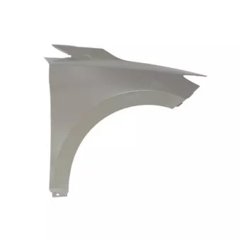 Aile avant droit BLIC