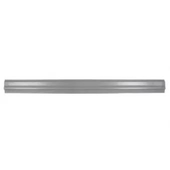 Plaque de seuil BLIC 6505-06-1647017P