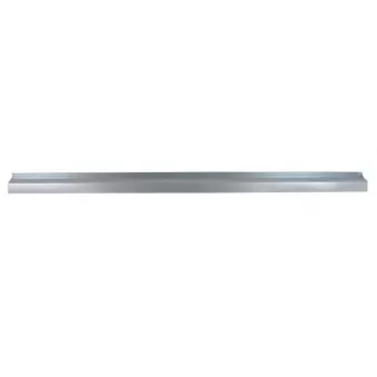 Plaque de seuil BLIC 6505-06-2043010P