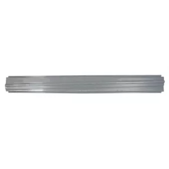 Plaque de seuil BLIC 6505-06-3506011P