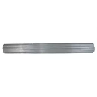 Plaque de seuil BLIC 6505-06-3506012P