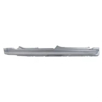 Plaque de seuil BLIC 6505-06-6041012K