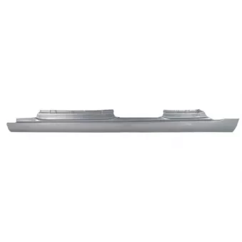 Plaque de seuil BLIC 6505-06-9533011P