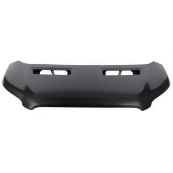 Capot-moteur BLIC 6803-00-2517282P