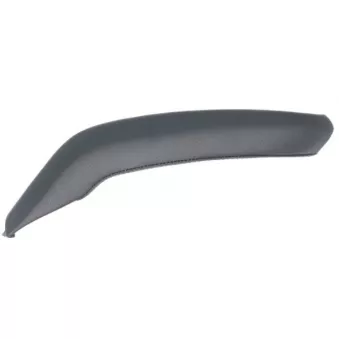 Poignet de porte, équipment intérieur BLIC 8800-00-0000002P