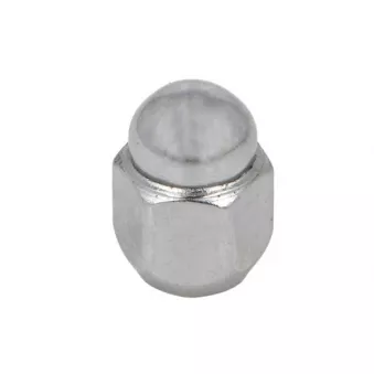 Écrou de roue BTA H60034BTA