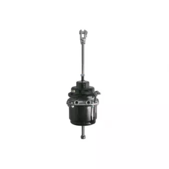 Cylindre de prétension SBP 05-BCT12/12-W02