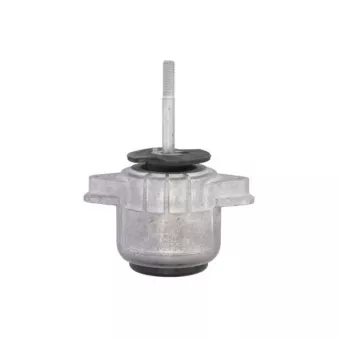 Support moteur REINHOCH RH11-3163