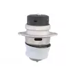 Support moteur REINHOCH RH11-3164 - Visuel 2