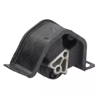 Suspension, boîte automatique REINHOCH RH11-5106