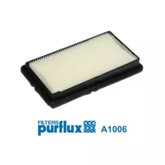 Filtre à air PURFLUX A1006