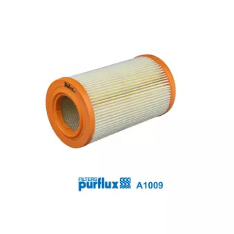 Filtre à air PURFLUX A1009