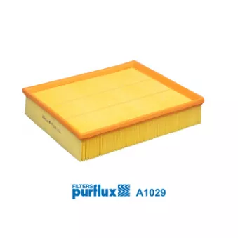 Filtre à air PURFLUX A1029