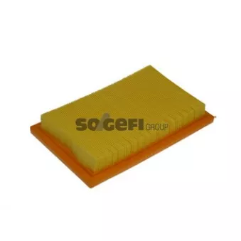 Filtre à air PURFLUX A1031