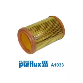 Filtre à air PURFLUX A1033