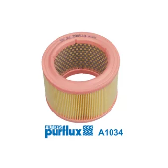Filtre à air PURFLUX A1034