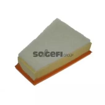 Filtre à air PURFLUX A1057