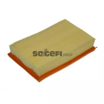 Filtre à air PURFLUX A1109
