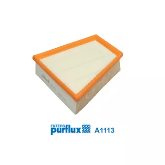 Filtre à air PURFLUX A1113