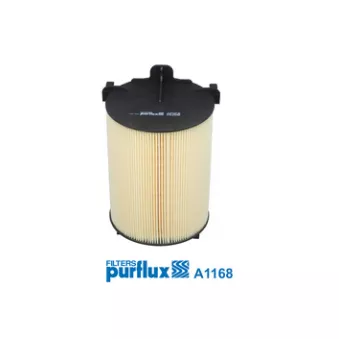 Filtre à air PURFLUX A1168