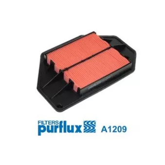 Filtre à air PURFLUX A1209
