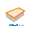 Filtre à air PURFLUX A1231 - Visuel 1
