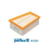 Filtre à air PURFLUX A1231 - Visuel 2