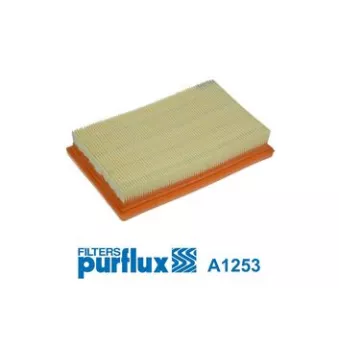 Filtre à air PURFLUX A1253