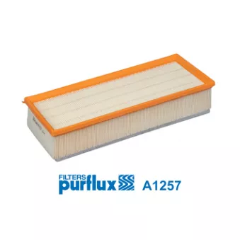 Filtre à air PURFLUX A1257