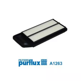 Filtre à air PURFLUX A1263