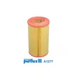 Filtre à air PURFLUX A1277 - Visuel 1