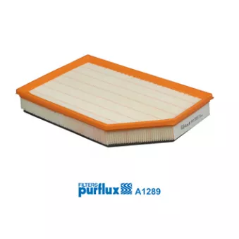 Filtre à air PURFLUX A1289