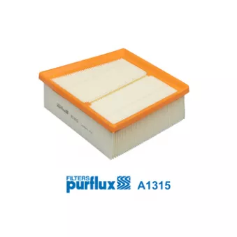 Filtre à air PURFLUX A1315