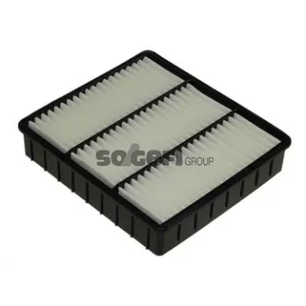 Filtre à air PURFLUX A1360