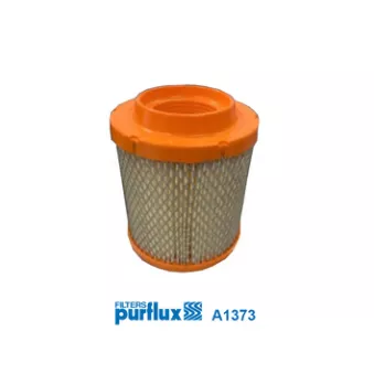 Filtre à air PURFLUX A1373