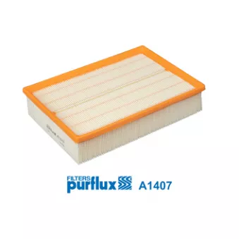 Filtre à air PURFLUX A1407