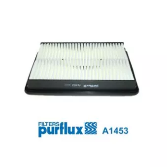 Filtre à air PURFLUX A1453