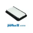 Filtre à air PURFLUX A1519 - Visuel 1
