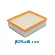 Filtre à air PURFLUX A1789 - Visuel 2