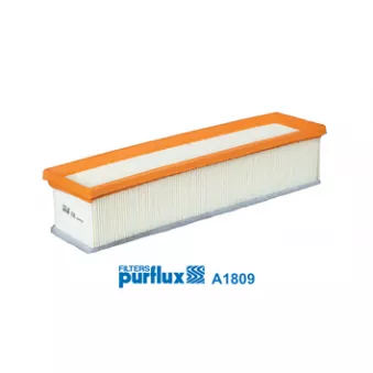 Filtre à air PURFLUX A1809