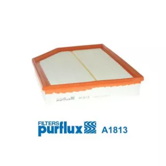 Filtre à air PURFLUX A1813