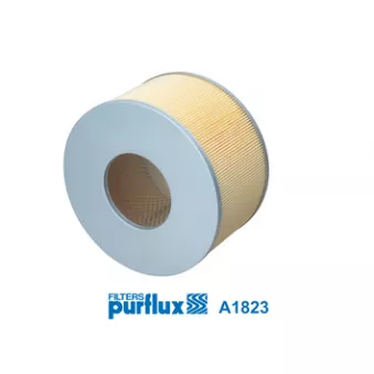Filtre à air PURFLUX A1823