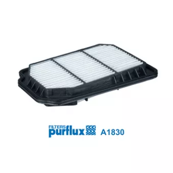 Filtre à air PURFLUX A1830
