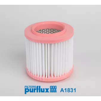 Filtre à air PURFLUX A1831