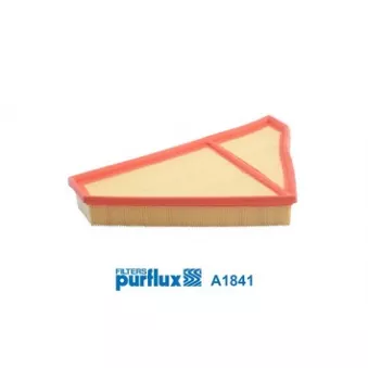 Filtre à air PURFLUX A1841