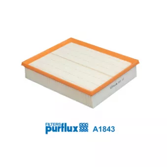 Filtre à air PURFLUX A1843