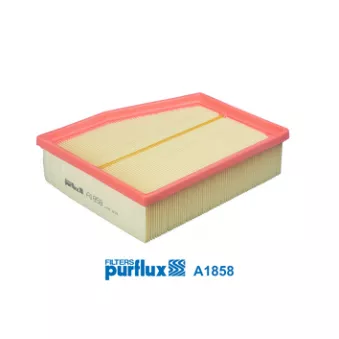 Filtre à air PURFLUX A1858