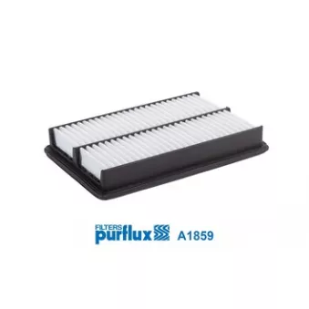 Filtre à air PURFLUX A1859