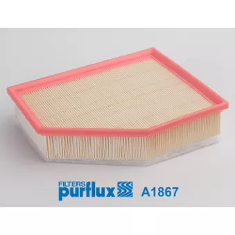 Filtre à air PURFLUX A1867